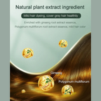 🎁 3 KAUFEN, 2 GRATIS! 🍓✨ Fruchtessenz-Haarfärbekamm – Sanft färbend und pflegend für glänzendes Haar 💇‍♀️🌟