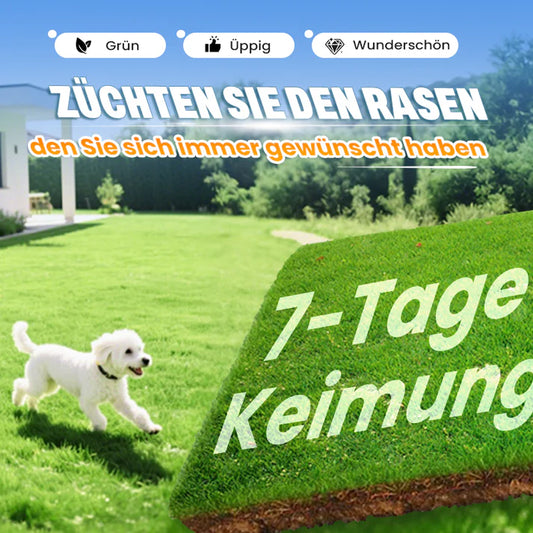 🔥Grassamen für Rasen und Golfplatz