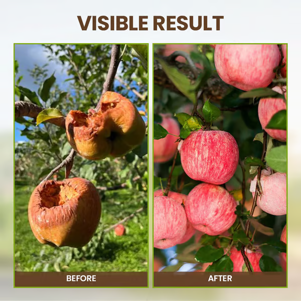 🌱 Blühende Erde, mühelos natürlich – mit ECOCERT-Power🔔 Verbessern Sie Ihren Boden JETZT & sparen Sie 50%! 🌱