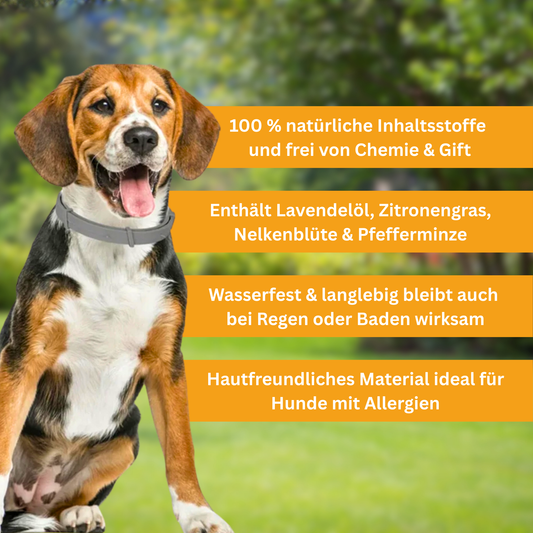 Floh- und Zeckenschutz Halsband für Hunde und Katze