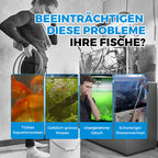 🎉50% Rabatt✨ Automatisches Aquarium-Filtersystem
