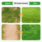 🔥Grassamen für Rasen und Golfplatz