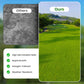 🔥Grassamen für Rasen und Golfplatz