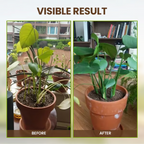 🌱 Blühende Erde, mühelos natürlich – mit ECOCERT-Power🔔 Verbessern Sie Ihren Boden JETZT & sparen Sie 50%! 🌱