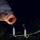 🎣⚡ Doppelhaken-Reverse-Bottom-Rig! Die verbesserte Version steigert die Anschlussrate um 50 % – Schluss mit Hängenbleiben! 🎣