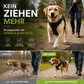 🐕 50% RABATT! 🦺 Anti-Zieh-Geschirr – Reflektierend, atmungsaktiv & mit zwei Leinenbefestigungen🌿