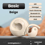 🔥HEISSER VERKAUF  🔥Intelligente kabellose Bluetooth Übersetzung Ohrhörer