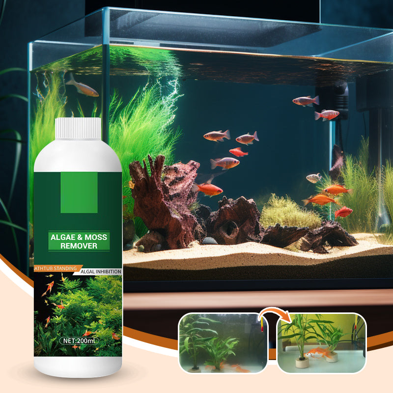 🎉Mehr kaufen und mehr sparen💥 Algen- & Moosentferner für das Aquarium - Sichere Wasseraufbereitung