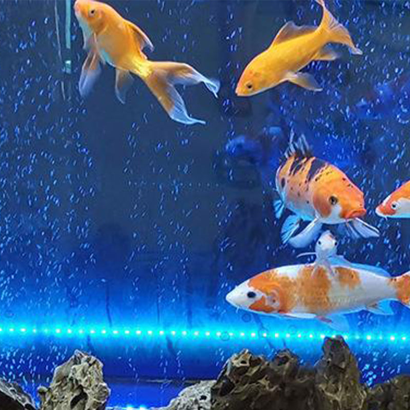 LED Aquarium Buntes Luftblasenlicht