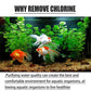 💧Chlorentfernungstabletten für Fischteiche & Aquarien - Schnelle Chlorneutralisierung | Süß- & Salzwasser