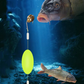 🎣⚡ Doppelhaken-Reverse-Bottom-Rig! Die verbesserte Version steigert die Anschlussrate um 50 % – Schluss mit Hängenbleiben! 🎣