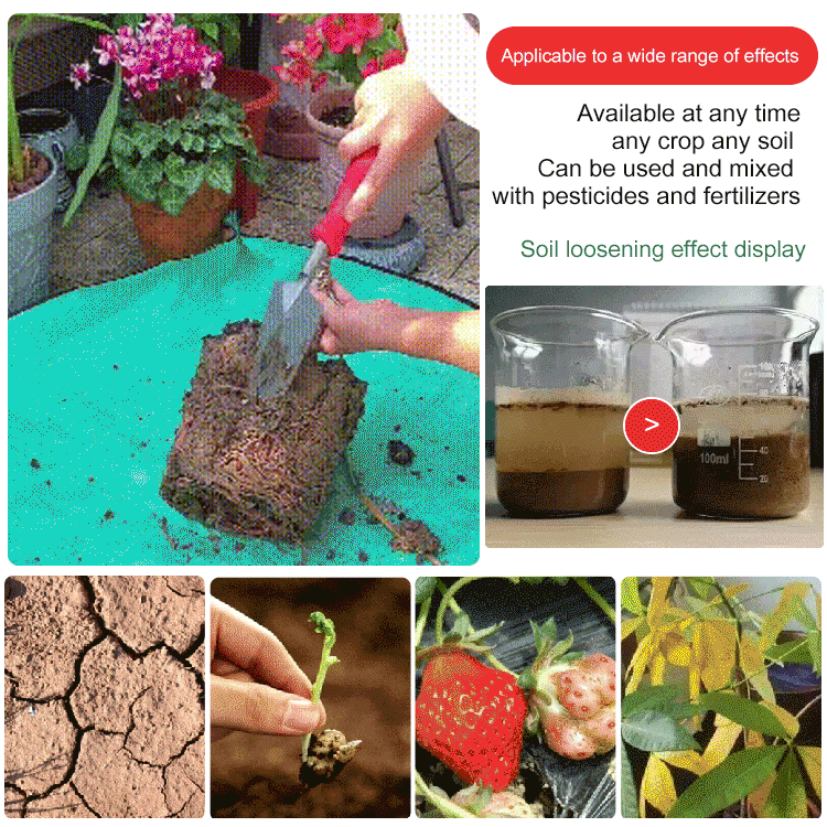 🌱 Blühende Erde, mühelos natürlich – mit ECOCERT-Power🔔 Verbessern Sie Ihren Boden JETZT & sparen Sie 50%! 🌱