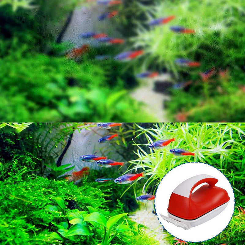 Effizienter Magnet-Scheibenreiniger für Aquarium