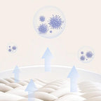 ✨Sicheres, starkes Deodorant-Säckchen mit Pflanzenextrakt