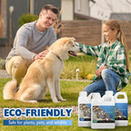 Klarer Steinkleber für die Landschaftsgestaltung