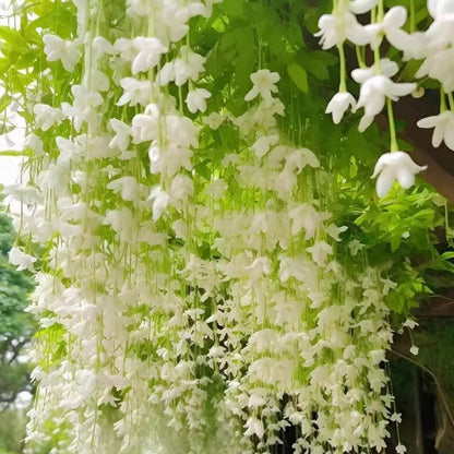 Einfach anzubauende Jasmin-Samen für den vertikalen Anbau ✨