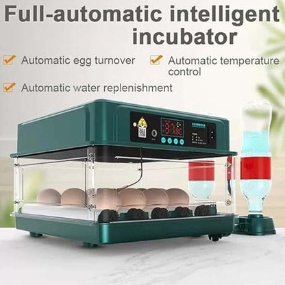 Automatischer Inkubator mit Temperaturregelung