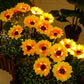 🌻 ☀️ Wasserdichte Solar-Sonnenblumenlichter – Realistische Blütenblätter, IP65 Wetterfest & 8-12h Automatisches Leuchten ✨