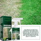 🌿Gras-Farbspray für Rasen - Sofort Sattgrün & 2-3 Monate haltbar | Regenbeeständig, Umweltfreundlich✅