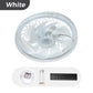 2-in-1 Deckenventilator mit Licht & Fernbedienung – Leise, Dimmbar, 4 Stufen