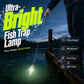 🎣💡 Angel-LED-Leuchte – wasserdicht, extrahell für Nachtangeln 🌊🔦 Kompakt, clip-on, 4 Farben, Ködersichtbarkeit verbessern – ideal für Boot & Ufer.