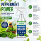 Natürliches Pfefferminzöl-Spray gegen Insekten und Schädlinge 🪳🦟 – Maximale Wirkkraft – Sicher und wohlriechend für Haus & Garten
